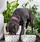 Dog Face Water/Food Bowl