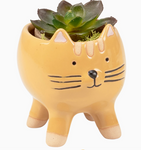 Tabby Cat Planter