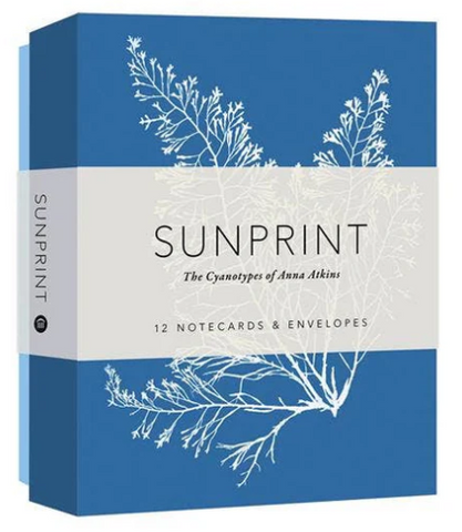 Sunprint Notecards