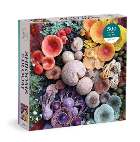 Shrooms in Bloom