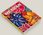 Mexican: A Journey Through Design