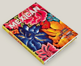 Mexican: A Journey Through Design