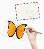 Coloring Postcards with 6 Butterfly & Moth Designs
