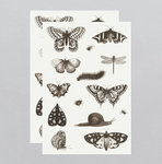 Insects Temporary Tattoo Sheet