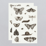 Insects Temporary Tattoo Sheet